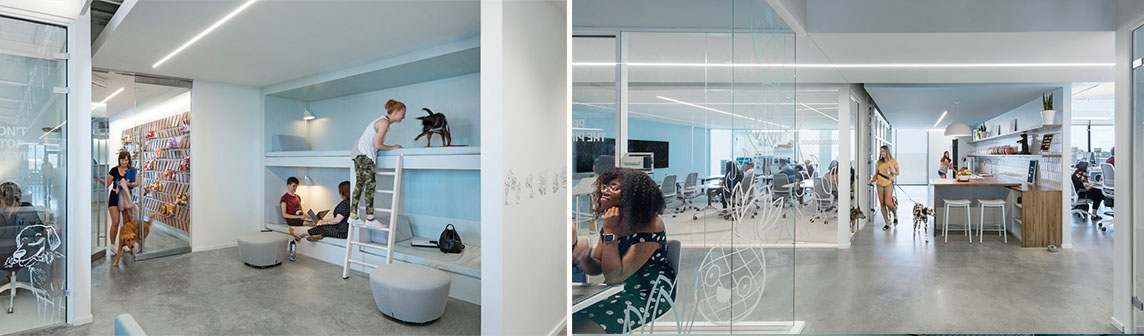 PA旗舰厅(中国区)官方网站-PA PlayAce