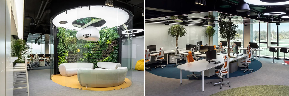 ����װ����ƹ�˾